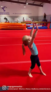 Image result for Cardiff Olympic Gymnastics Club