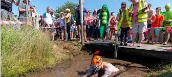Image result for Bog Snorkelling Championships