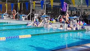 Image result for Tynedale Swimming Club
