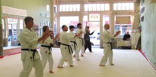 Image result for Imi Jishin Ryou karate do