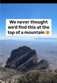Image result for mountain top seashell