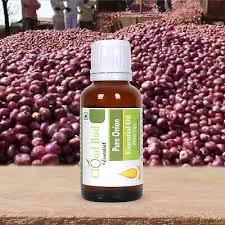 Attēlu rezultāti vaicājumam “Allium cepa bud”