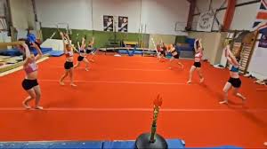 Image result for Gymnastics & Dance 4 Cheshire