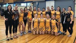 Image result for Capricorn Netball Club