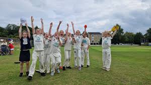 Image result for Burley-In-Wharfedale Cricket Club