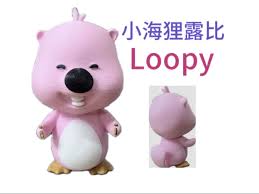 Image result for loopveer