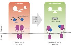 IRE 0.0 IRE 7.5에 대한 이미지 검색결과