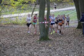 Image result for Lincoln Wellington Ac