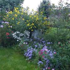 Image result for Pangbourne Tennis Club