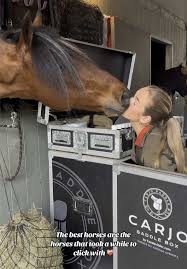 Image result for Carman Stables