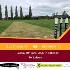 Image result for Glastonbury Cricket Club