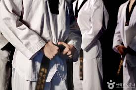 Image result for Dujon Tae Kwon Do