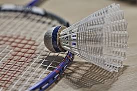 Image result for Talbot/Littledown Community Badminton Club