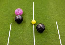 Image result for Winterslow Short Mat Bowls Club