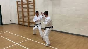 Image result for Kenshukai Karate