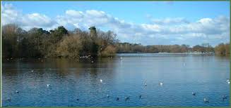 Image result for Redesmere Sailing Club
