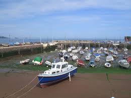 Image result for Paignton Sea Anglers Association
