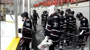 Image result for Perth Junior Ice Hockey Club