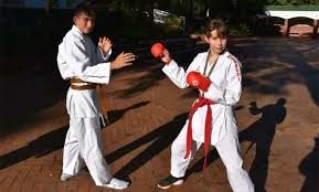 Image result for Redhill Karate Association
