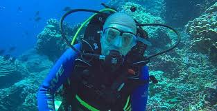 Image result for Plymouth Aquanauts