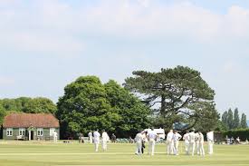 Image result for West Chiltington & Thakeham Cc