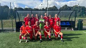 Image result for Walton & Hersham Football Club