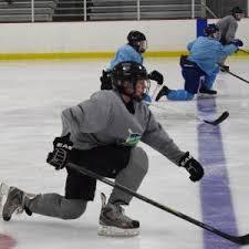 Image result for Pontypool Skater Hockey Club