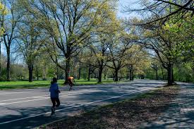 Image result for Prospect Park Beginner Jogging Sessions