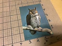 Attēlu rezultāti vaicājumam “Bubo bubo adult”