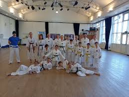 Image result for Hed Tkd (Dorking Tae Kwon-Do)