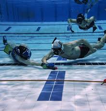Image result for Dublin Underwater Hockey Team