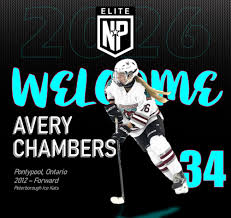 Image result for Pontypool Skater Hockey Club