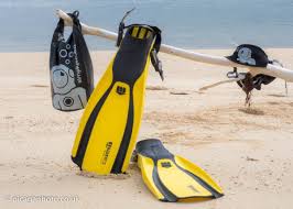 Image result for Simply Scuba