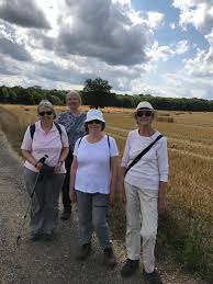 Image result for Ramblers Association - Mole Valley Group