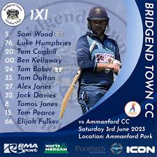 Image result for Ammanford Cricket Club