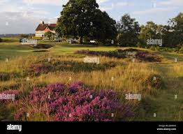 Image result for Reigate Heath Golf Club