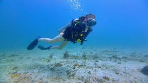 Image result for Scuba Fun