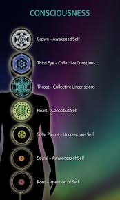 Image result for consciousness