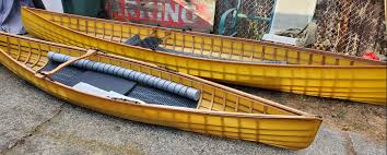 Image result for Falcon Rowing and Canoeing