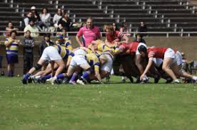 Image result for Stanford Rugby Club