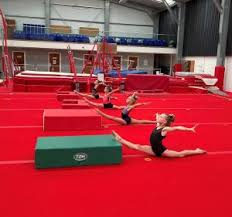 Image result for Colchester School Of Gymnastics
