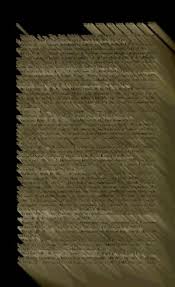 Attēlu rezultāti vaicājumam “Agrochola helvola imago”