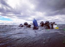 Image result for Torbay Sub-Aqua Club