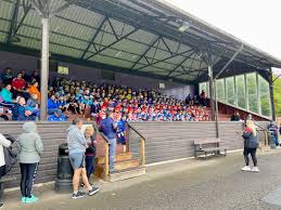 Image result for World of Shinty