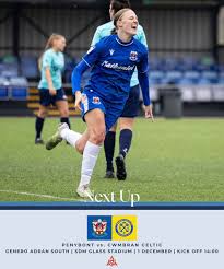 Image result for Cwmbran Celtic F C