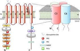 Image result for HTRPC