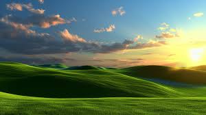 Image result for love windows xp wallpaper