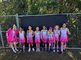 Image result for Leapoole Netball Club