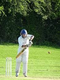 Image result for Preston Village Cricket Club