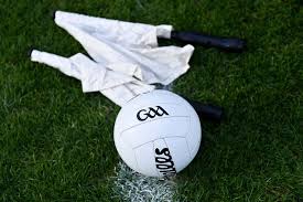 Image result for Patrick Sarsfield Gaelic Athletic Club